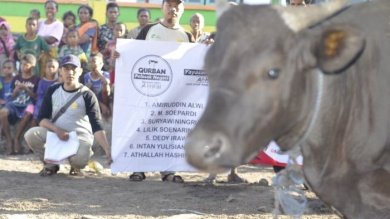 Qurban untuk anak yatim dan papua